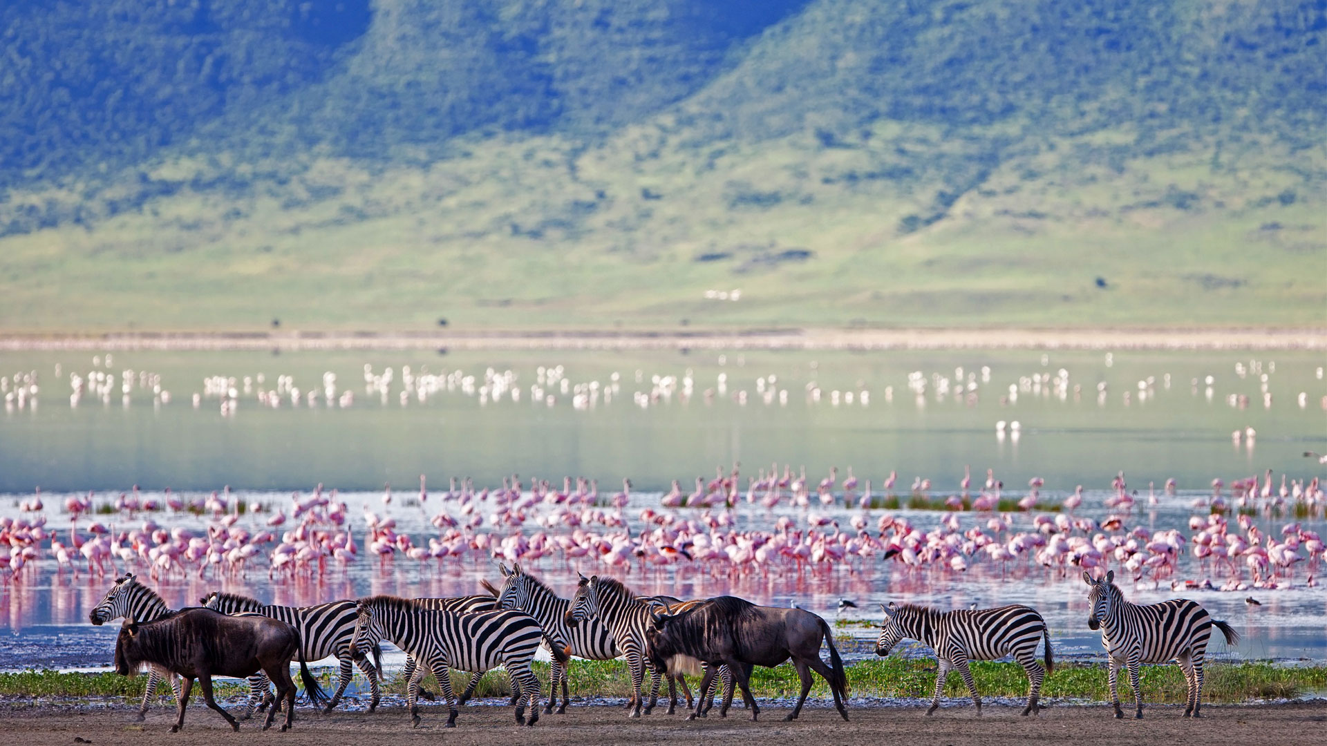 Ngorongoro Crater