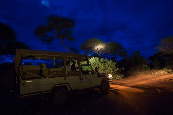 Night Safari