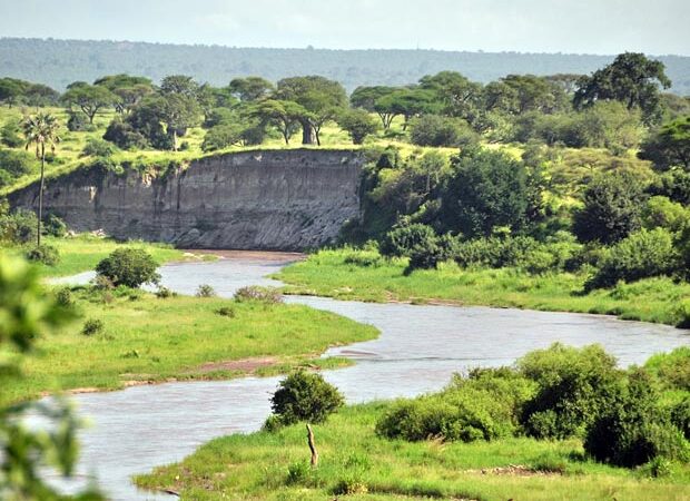 Tarangire River